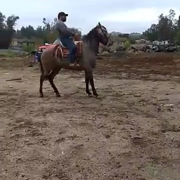 Meet your Posher, Tomas - Picture 1 of 1